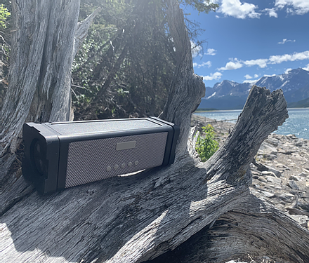 Field Base Speaker - Mountainpulse